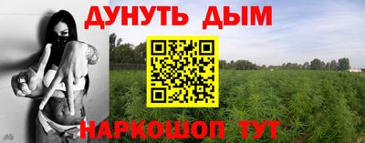 ПСИЛОЦИБИНОВЫЕ ГРИБЫ Коммунар