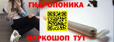 ПСИЛОЦИБИНОВЫЕ ГРИБЫ Коммунар