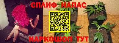 ПСИЛОЦИБИНОВЫЕ ГРИБЫ Коммунар