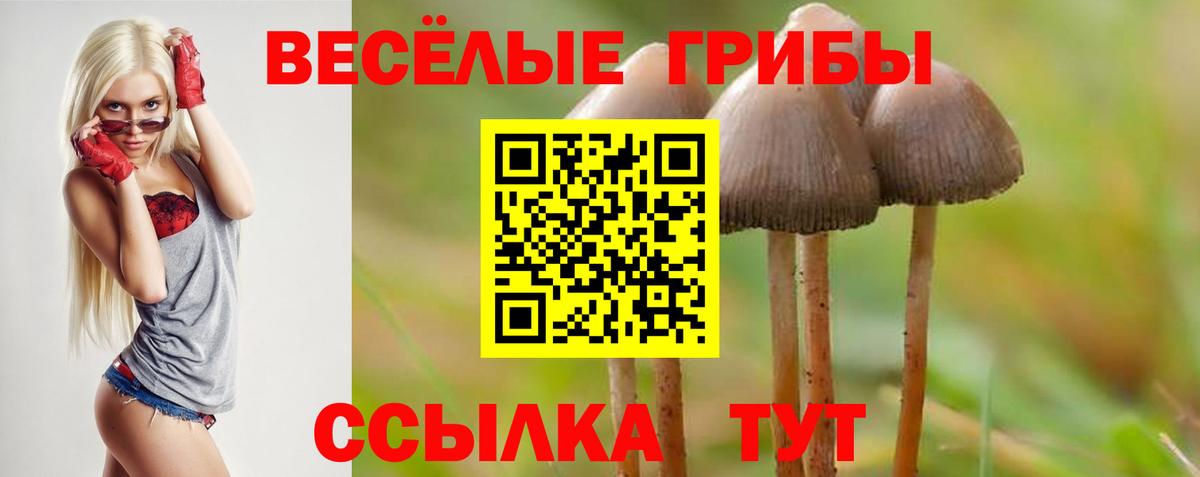 Галлюциногенные грибы Cubensis Невинномысск